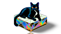 a black cat sitting on a colorful cube